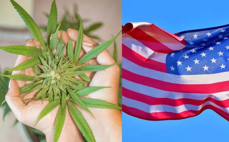 maryland-missouri-aprobaron-consumo-recreativo-1