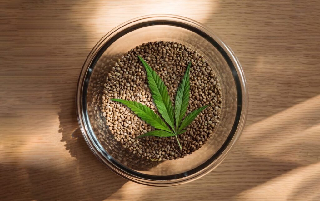 Blog_Where-Can-I-Buy-Cannabis-Seeds