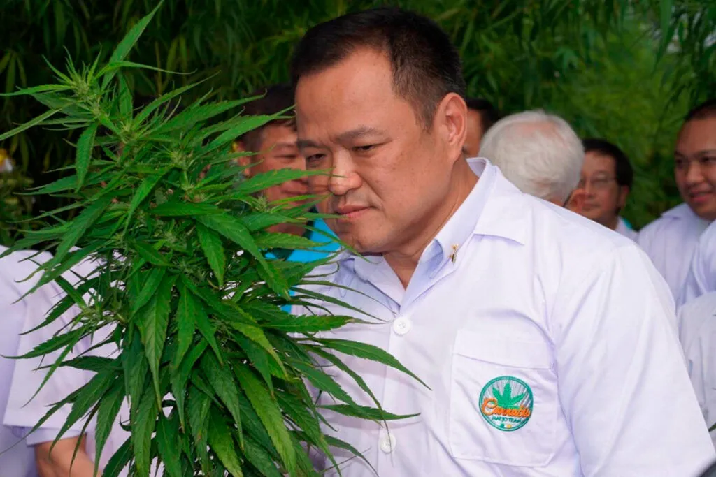 Tailandia-planea-despenalizar-todos-los-usos-del-cannabis-incluido-el-recreativo