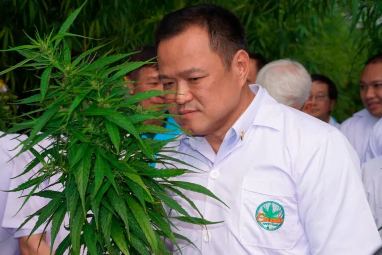 Tailandia-planea-despenalizar-todos-los-usos-del-cannabis-incluido-el-recreativo