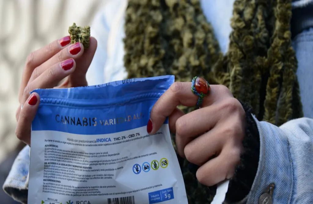 Uruguay-sin-marihuana-en-farmacias-hasta-noviembre