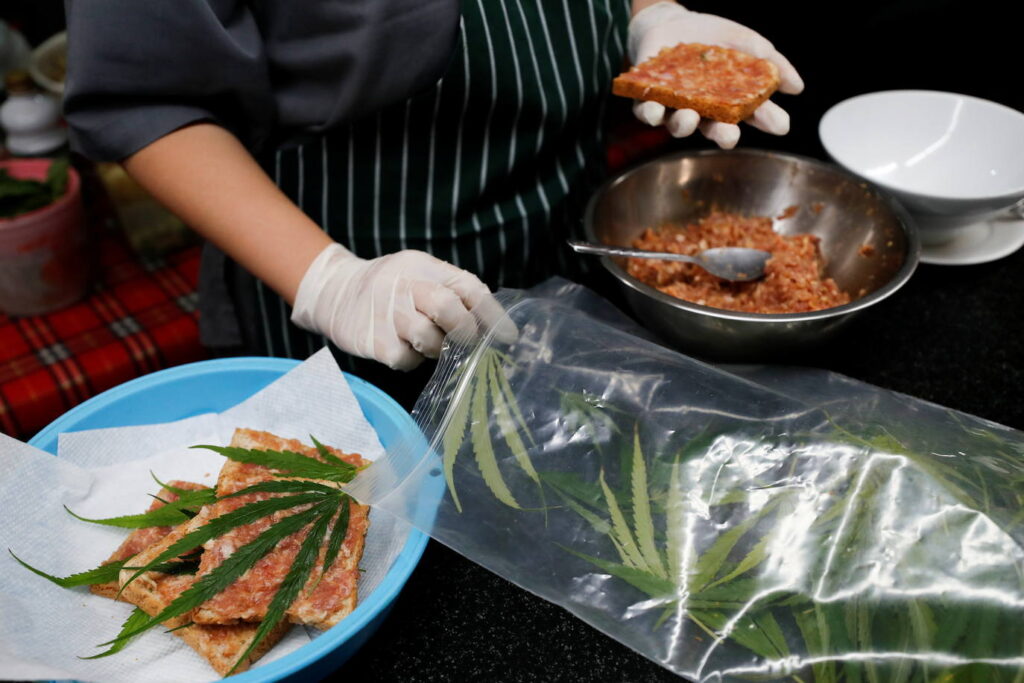 cocina cannabica
