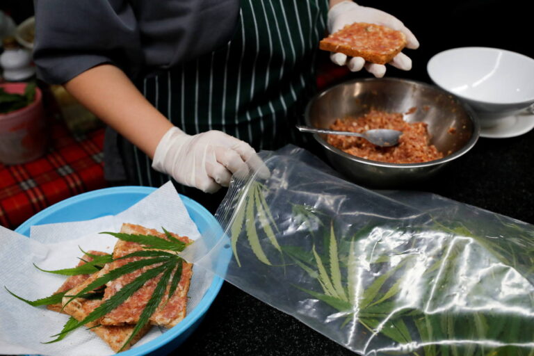 cocina cannabica
