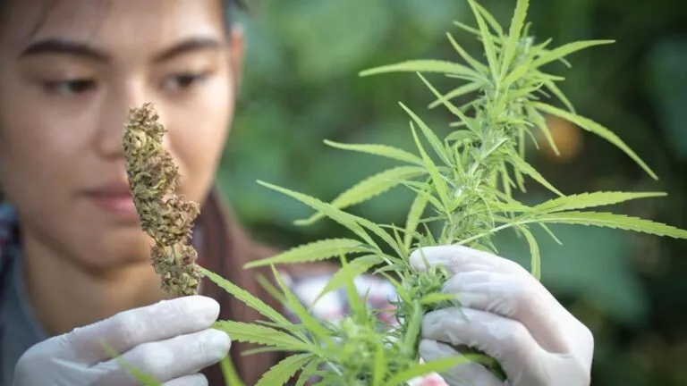 59a3d4ea-0e04-47bd-bd82-cb37dc01b3e1_16-9-discover-aspect-ratio_default_0