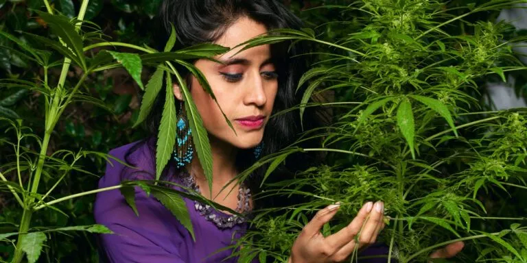 Blog_women-find-job-cannabis-industry