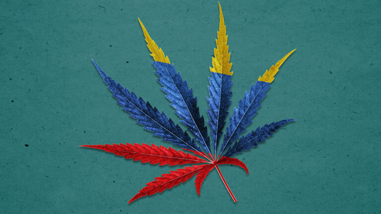 El proyecto de regulación del cannabis en Colombia supera el primer debate en el Congreso