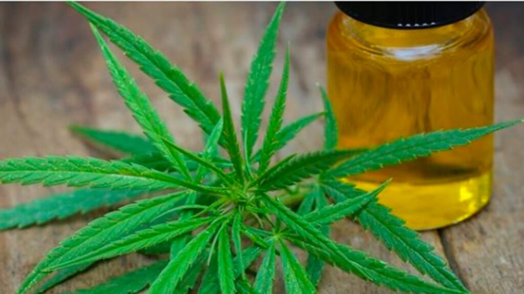 cbd