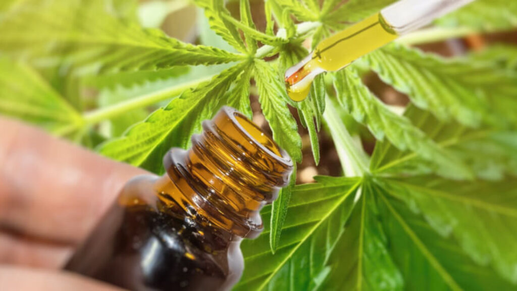 cbd edad