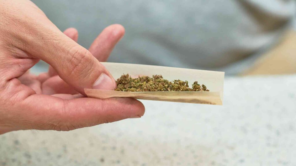 Revelan porcentaje de consumidores que se vuelven adictos a la marihuana