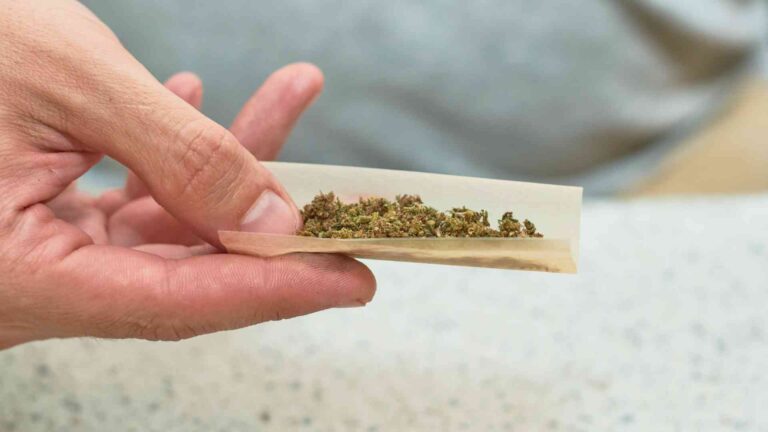 Revelan porcentaje de consumidores que se vuelven adictos a la marihuana