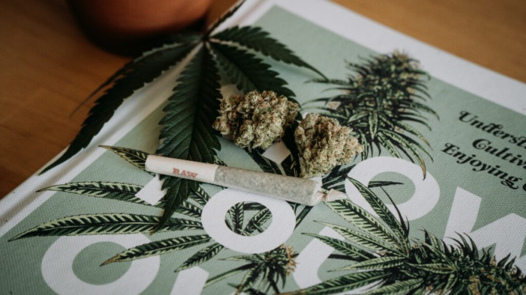 La mitad de lxs estadounidenses ha usado cannabis alguna vez
