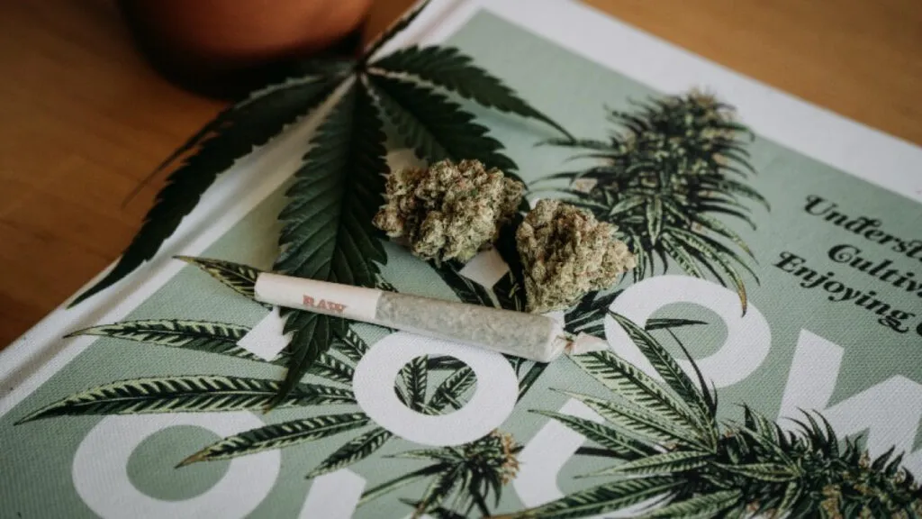 La mitad de lxs estadounidenses ha usado cannabis alguna vez