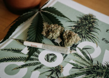 La mitad de lxs estadounidenses ha usado cannabis alguna vez