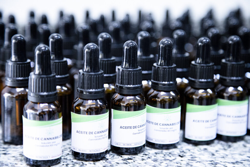 cannabis medicina