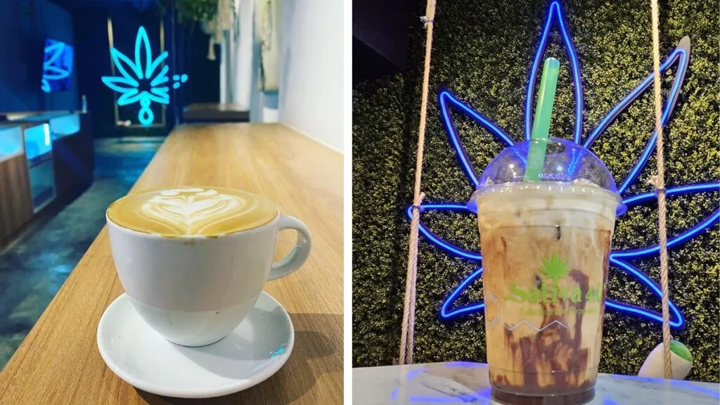 malteada cannabis medicinal