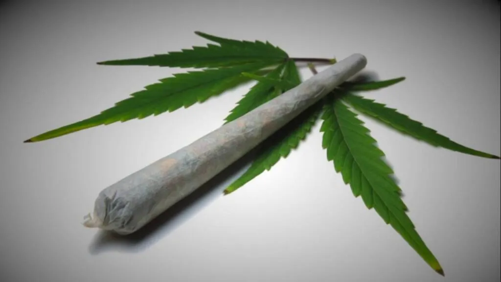 Máquina fabrica cigarrillos de marihuana