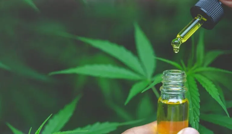 avances en genética de cannabis