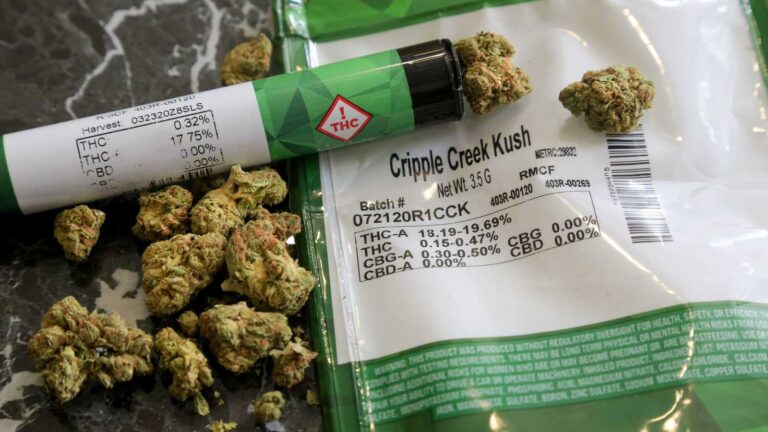 cannabis nueva york
