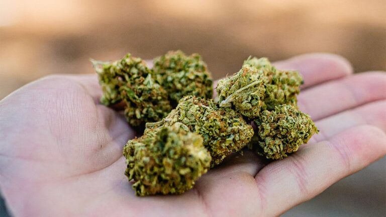 marihuana-uso-lúdico