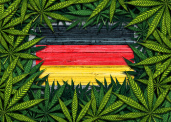 Germany marijuana and German cannabis symbol with the flag on rustic wood with leaves as a border in a 3D illustration style.