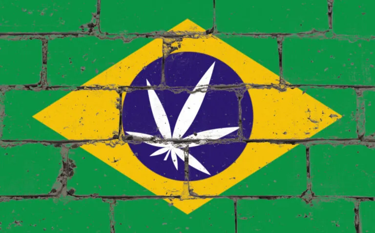 Graffiti street art spray drawing on stencil