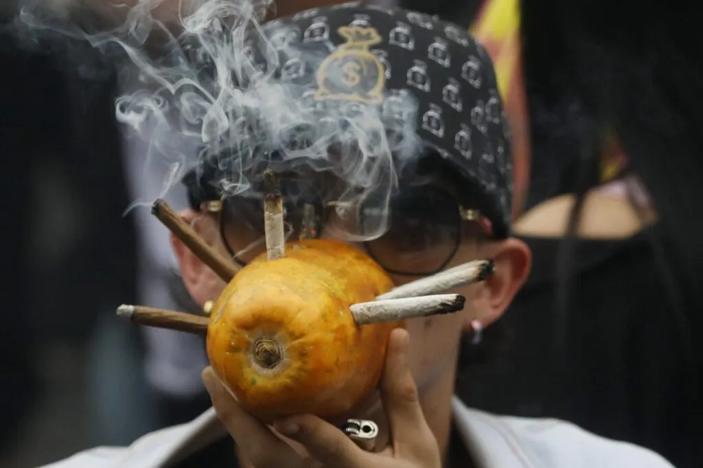 Conoce los nuevos espacios para el consumo lúdico de cannabis