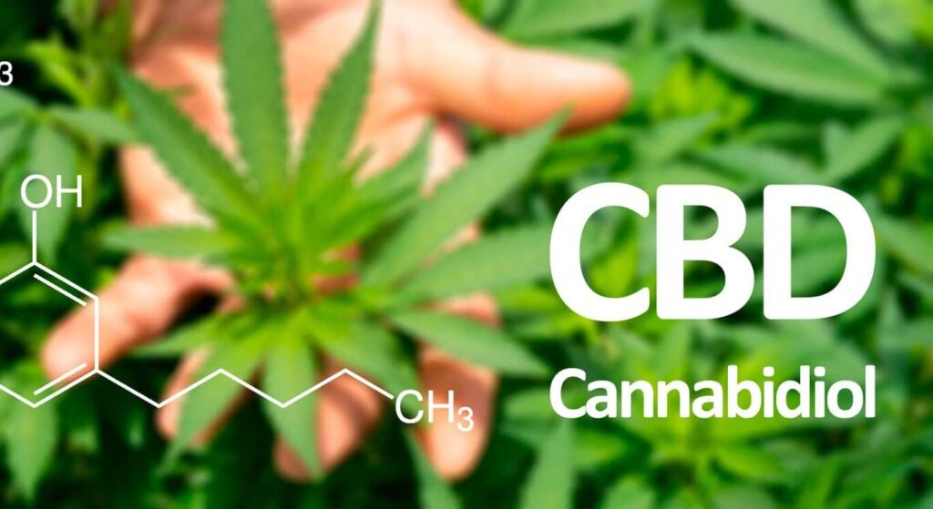 cbd