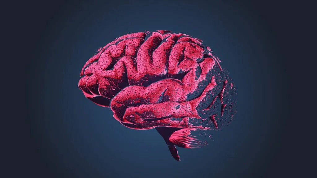 envejecimiento cerebral