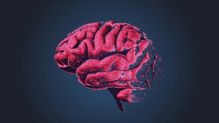 envejecimiento cerebral