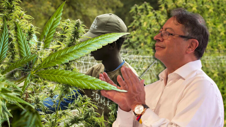 Petro-Cannabis