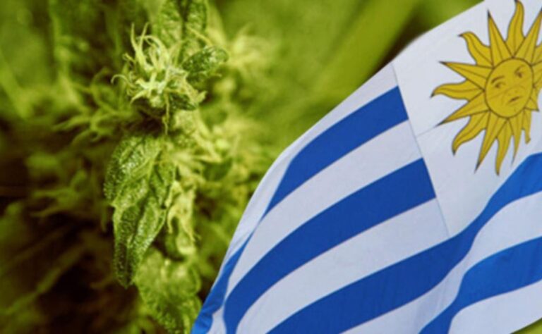 uruguay-cannabis