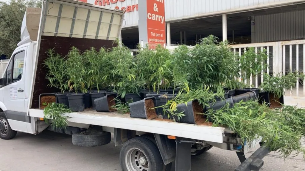 Policía francesa descubre 200 kilos de cannabis en un camión