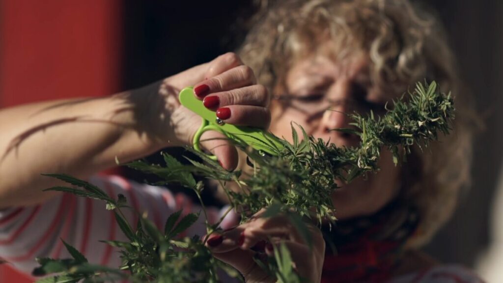 Mamá Cultiva Argentina