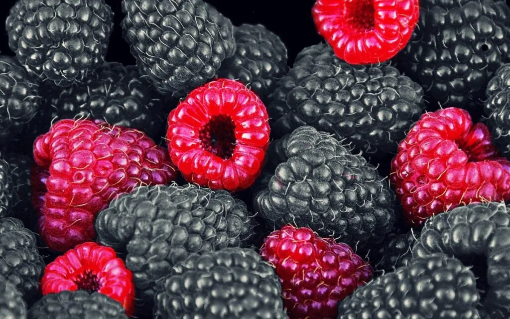 frambuesa