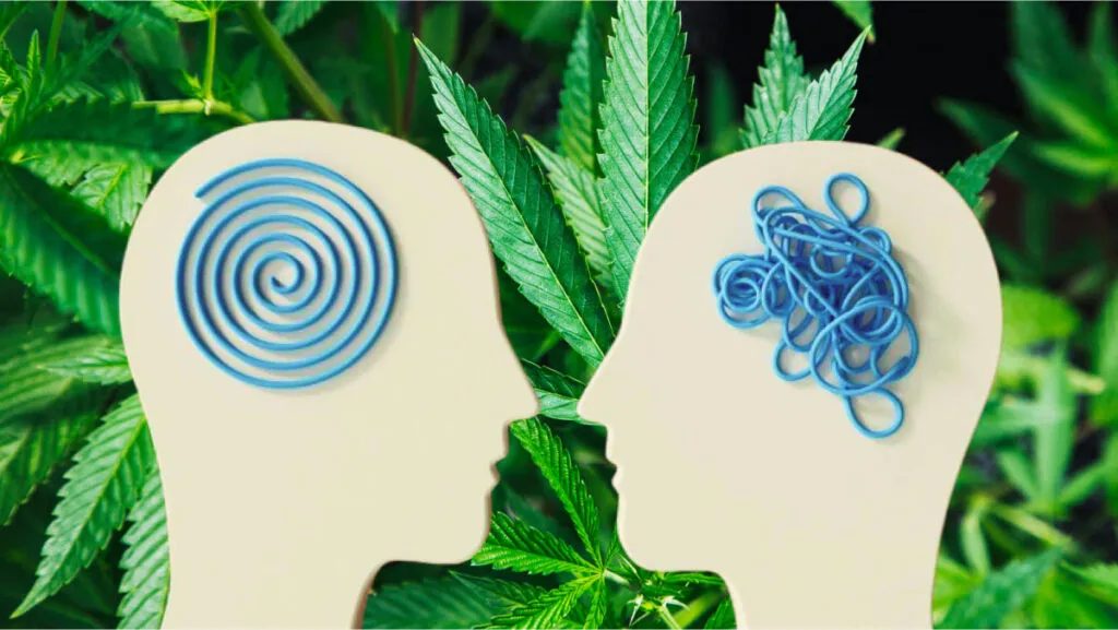 cannabis-y-esquizofrenia