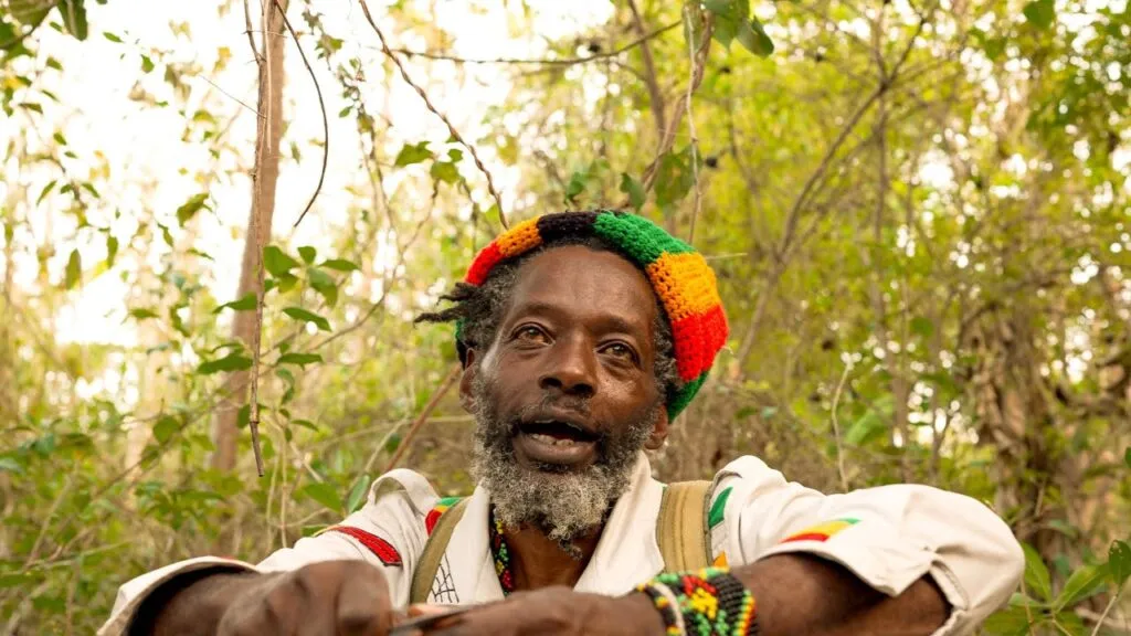 rasta
