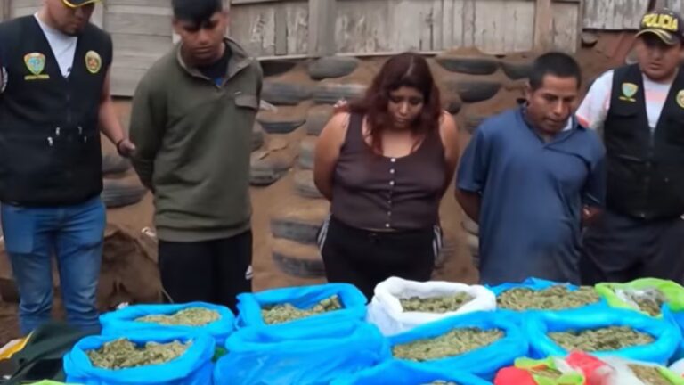 perro marihuana