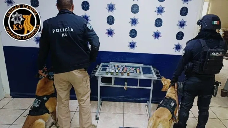 k9